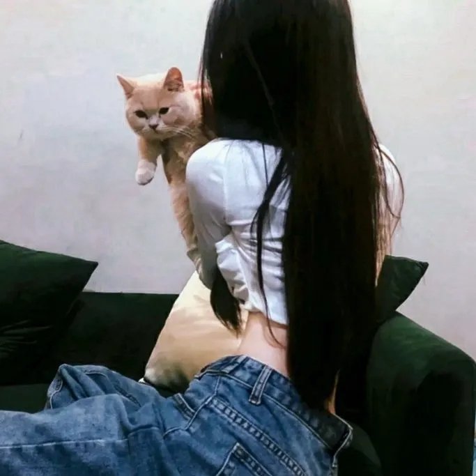 灵狐